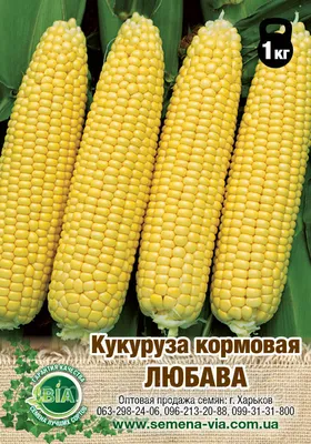 Кукуруза кормовая Любава - купить по лучшей цене в Харькове от компании  \"Интернет магазин \"Семена - ВИА\". Оптовый магазин семян.\" - 363307486