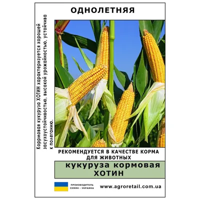 Кукуруза дробленая корм Кормовой двор 172884827 купить в интернет-магазине  Wildberries