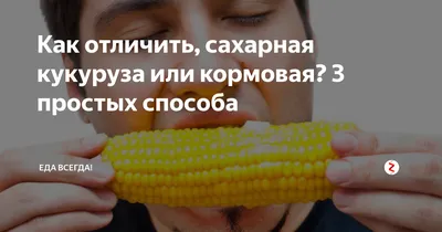 Кукуруза Кормовая/Сем Алт/ 500 гр. серия \"Эко Сад\" (1/15)