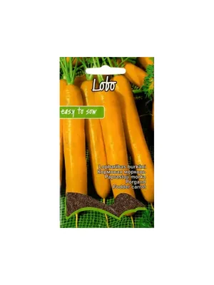Кормовая морковь – необходимый компонент качественного питания животных.  Купить кормовую морковь недорого в Санкт-Петербурге