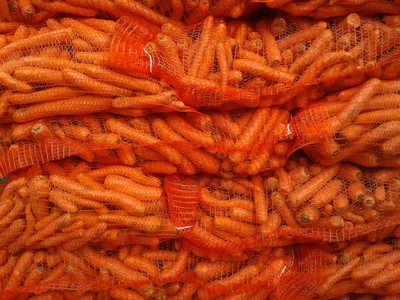 Беби-морковки