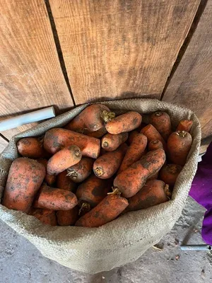 Пюре ФрутоНяня цыпленок-картофель-морковь 190г с 9месяцев купить по цене  118.9 ₽ в интернет-магазине Детский мир