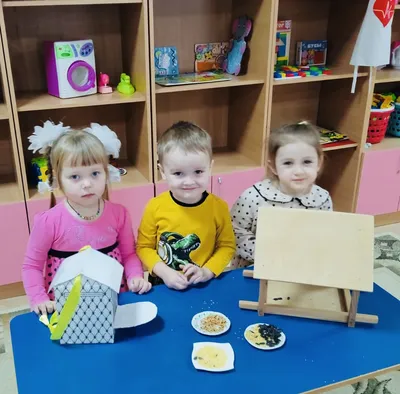 Кормушка для птиц своими руками, купить набор заготовок кормушки для птиц,  поделки для детского сада, в школу. Сборные конструкторы, раскраски кормушек  для птиц.