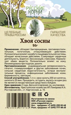 Зеленые Ели Корнями Жизненный Процесс Ели Корневой Системы Силуэт Векторная  Векторное изображение ©Irusetka.yandex.ru 493145026
