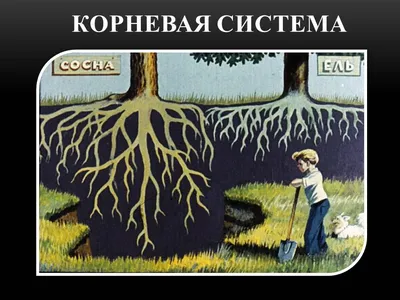 Посадка | Полезная информация | CАДиК
