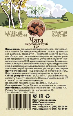 Береза бумажная, betula papyrifera