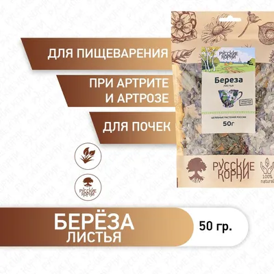 Лэпбук для детей «Березка» (6 фото). Воспитателям детских садов, школьным  учителям и педагогам - Маам.ру