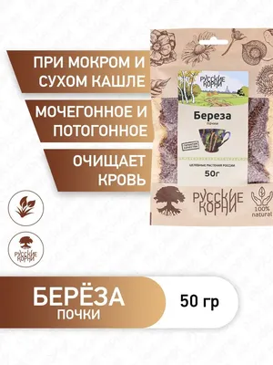 Корни березы (48 фото) »