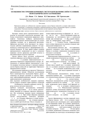 Берёза Архыза — Фото №1343566