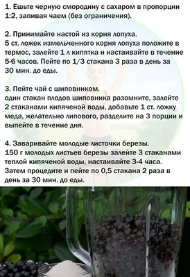 Корень березы (50 фото) »