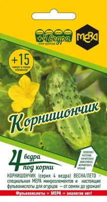 Почему вянут огурцы и как спасти урожай - 13 июля 2023 - Фонтанка.Ру