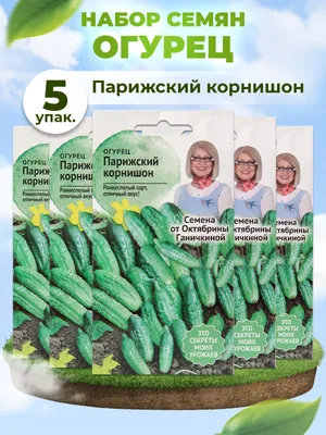 Налили особый настой под корни огурцов - увеличили урожай в пять раз