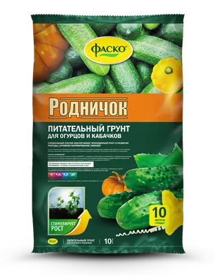 Набор семян Огурец Парижский корнишон 0.3 г - 5 уп., семена огурцов для  посадки, огурцы для сада | AliExpress