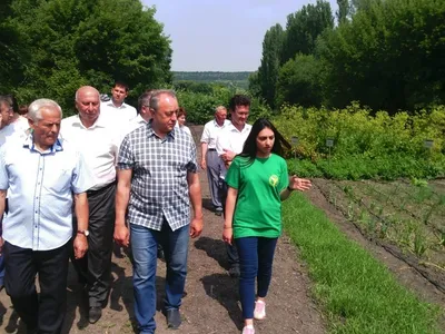 Корольков Сад
