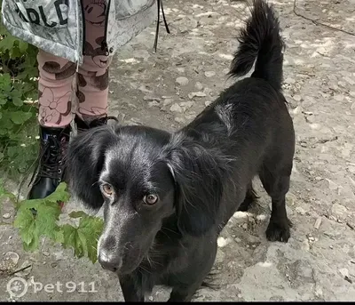 Снежный парк в Саратове