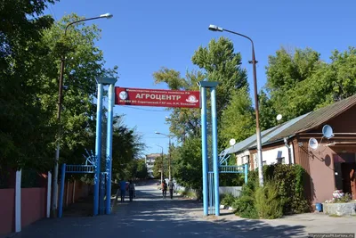 Катание на сноутюбингах в \"Снежном парке\"