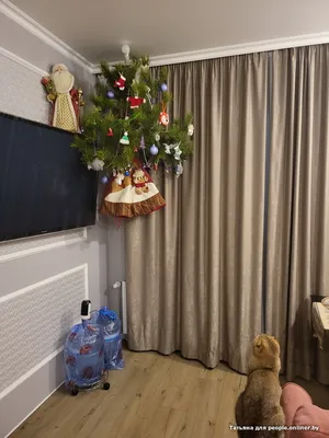 Новогодние коты | Christmas cats - YouTube