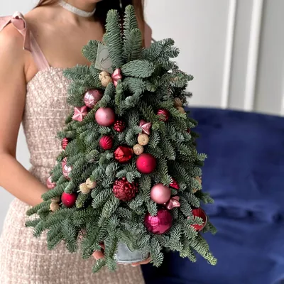 Царская ёлка 🎄🎁 в Николаевском дворце 2024: 🗓 расписание, ₽ цены, купить  🎟 билеты онлайн