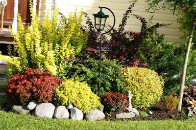 Цветы на даче: дизайн своими руками - дизайн клумб на даче | Houzz Россия