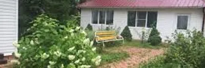 11 неприхотливых многолетних кустарников для красивого оформления дачи и  сада | Питомник Растений №1 Экоплант | Дзен