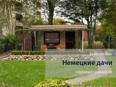 Самые неприхотливые цветы для дачи: 30+ лучших видов