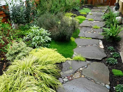 https://www.houzz.ru/foto/sadovye-dorozhki-foto-i-idei-phbr1-bp~t_13868~a_34-20595