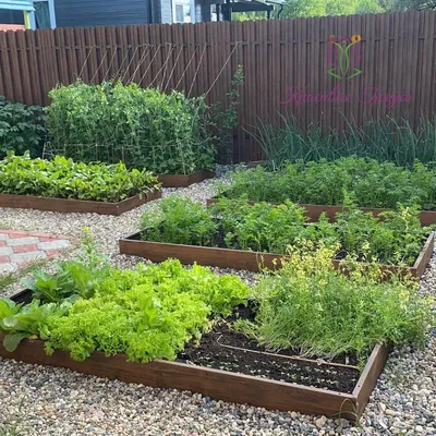 Необычные грядки для вашего сада: оформляем огород | Школа садовода | Дзен