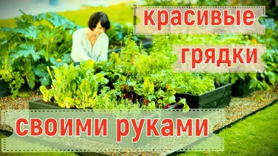 Как сделать красивые грядки на даче – новости компании FINGARDEN