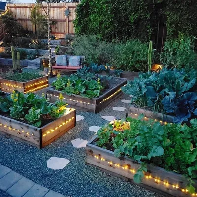 Красивые и простые подпорки для благоустройства грядок на даче | Огород,  Сад, Посадка картофеля