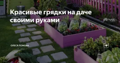 Красивые грядки из досок. 10 | Backyard garden layout, Building a raised  garden, Backyard vegetable gardens