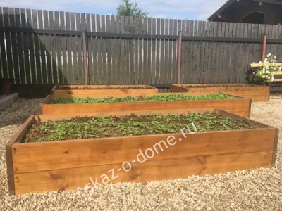 Красивые грядки из досок. 10 | Backyard garden layout, Building a raised  garden, Backyard vegetable gardens
