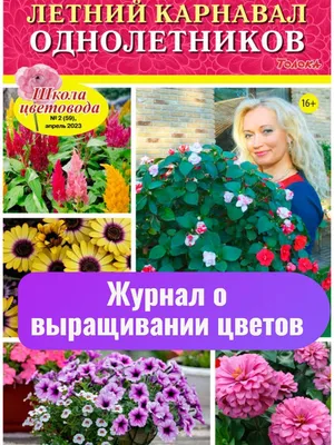 Дизайнерские лайфхаки для дачи: 20 лучших идей - Уютный дом
