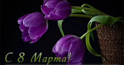 Красивые открытки к 8 Марта открытки, поздравления на cards.tochka.net