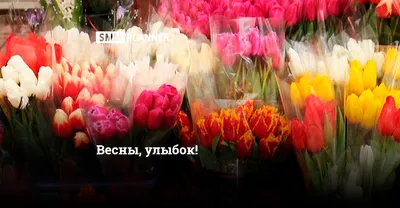 8 марта 2023 – картинки, поздравления с праздником для мамы - Lifestyle 24