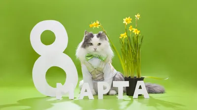 Раскраски раскраски на 8 марта раскраски на 8 марта женский праздни...