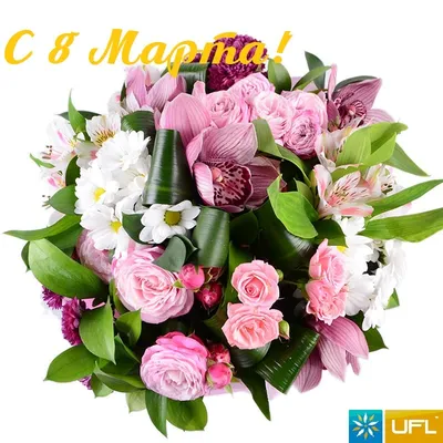 https://perm.aif.ru/dosug/mezhdunarodnyy_zhenskiy_den_2024_krasivye_otkrytki_i_pozdravleniya_k_8_marta