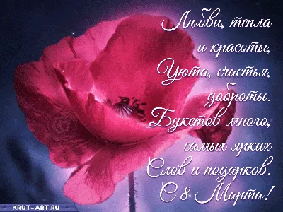 С наступающим 8 Марта, милые дамы! — Nice