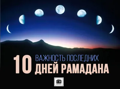 Священный для мусульман месяц рамадан карим. Красивые фонари со многими  звездами и луной. Дизайн вектора Иллюстрация вектора - иллюстрации  насчитывающей светильник, луна: 213228688