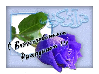 https://xn--65-dlci3cau6a.xn--p1ai/news/actual/2024-03-10/krasivye-kartinki-i-otkrytki-na-ramadan-2024-406714
