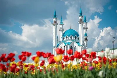 Картинки месяца рамадан с пожеланием (47 фото) » Юмор, позитив и много  смешных картинок