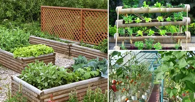 Красивые грядки своими руками: 50 идей, как украсить огород и вырастить  хороший урожай | Дизайн участка (Огород.ru)