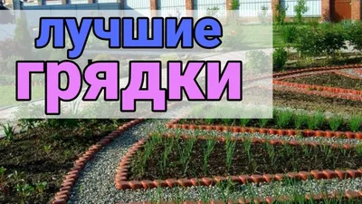 Как огородить грядки на огороде своими руками: преимущества, материал,  советы