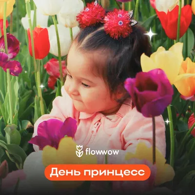 Оригинальные поздравления с 8 марта - стихи и красивые открытки - Апостроф