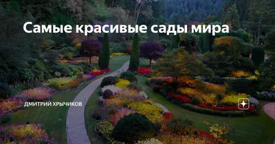 Самые красивые сады мира — сады Маркессак | Идеи для садового дизайна, Сад  с подстриженными деревьями, Английский парк