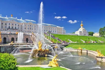 растительный сад, а в саду много роз и других цветов, красивые места  природы. Иллюстрация штока - иллюстрации насчитывающей город, сад: 253908162