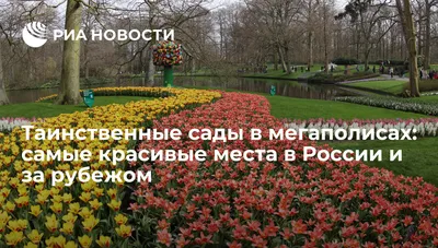 Красивые уголки сада - 64 фото