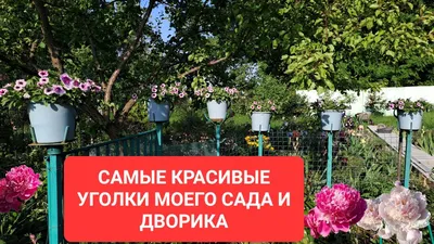 Ботанический сад в Гродно: Зеленое чудо Беларуси — Гродно