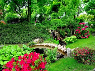 КРАСИВЫЕ САДЫ | Интернет-магазин Garden Space