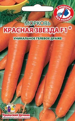 Красная Морковь На Столе — стоковые фотографии и другие картинки  Горизонтальный - Горизонтальный, Дерево - материал, Доска - iStock