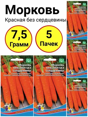 Морковь. БЕЛАЯ, КРАСНАЯ, ЖЕЛТАЯ, ФИОЛЕТОВАЯ. Зачем такая? | Семена Алтая.  Дачные советы от Виктории Карелиной | Дзен